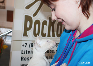 IMG_3788_600_Rasputin