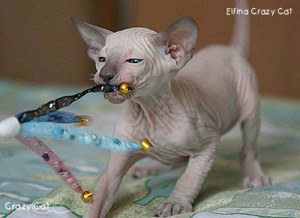 IMG_6842_400