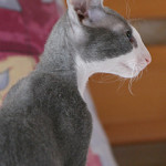IMG_3174_240