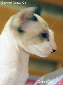 IMG_3717_240