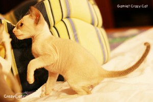 IMG_2045_500