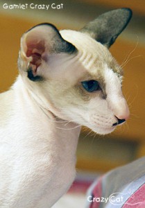 IMG_3716_240