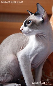 IMG_4262_240