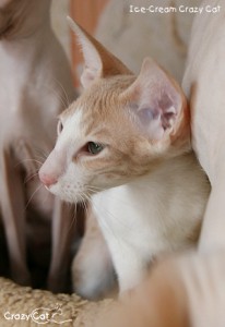 IMG_5480_300